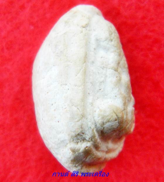 พระปิดตา เนื้อผง หลังยันต์น้ำเต้า ท่านเจ้าคุณนรฯ วัดเทพศิรินทร์ฯ กรุงเทพ ปี 2513