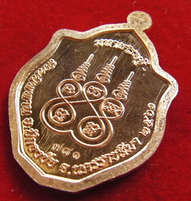 เหรียญมังกรมหาเศรษฐี หลวงปู่บุญ สวนพระนิพพาน วัดปอแดง โค๊ด + หมายเลข