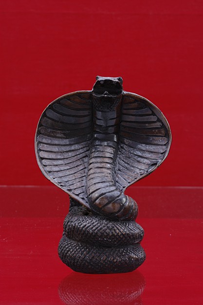 งูเห่าแผ่แม่เบี้ย