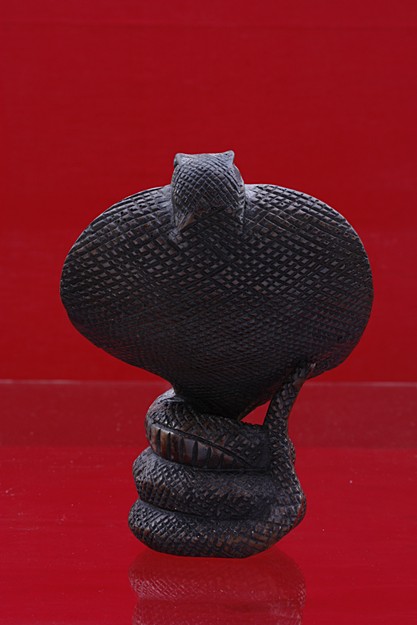 งูเห่าแผ่แม่เบี้ย