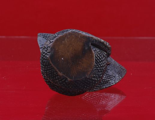 งูเห่าแผ่แม่เบี้ย