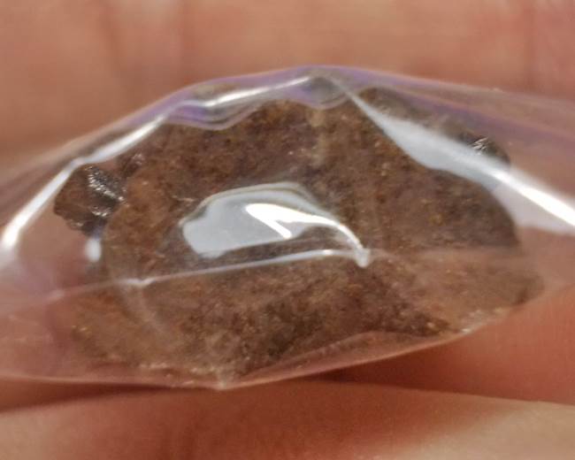 พระพุทธชินราช รุ่นปิดทอง ปี 2547 พิมพ์กลาง เนื้อเหล็กน้ำพี้