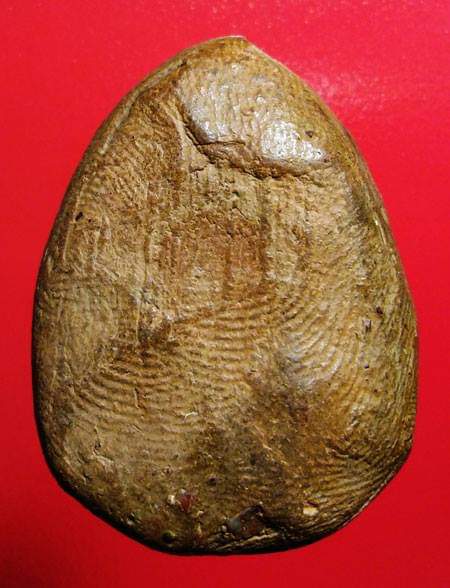 พระประคำรอบ กรุวัดพลายชุมพล จ.สุพรรณบุรี