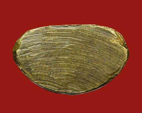 รูปหล่อหลวงพ่อเงิน ปี 2515 เนื้อทองเหลือง ออกวัดวังกระทึง  