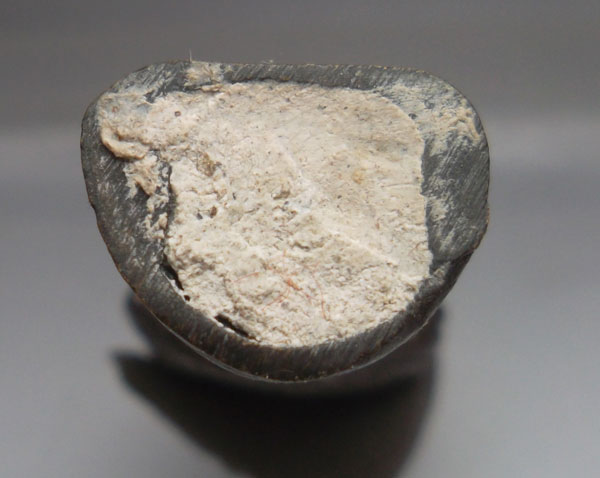  รูปหล่อพระนาคปรก ใต้ฐานอุดผงพุทธคุณ หลวงพ่อสารันต์ วัดดงน้อย จ.ลพบุรี สร้างน้อยครับ ราคาเบาๆครับ