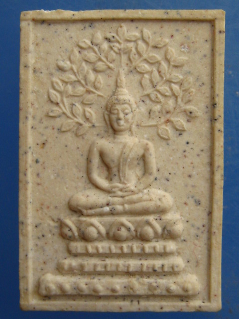 พระสมเด็จปรกโพธิ์ วัดระฆัง ปี2539 กล่อง vision plastic