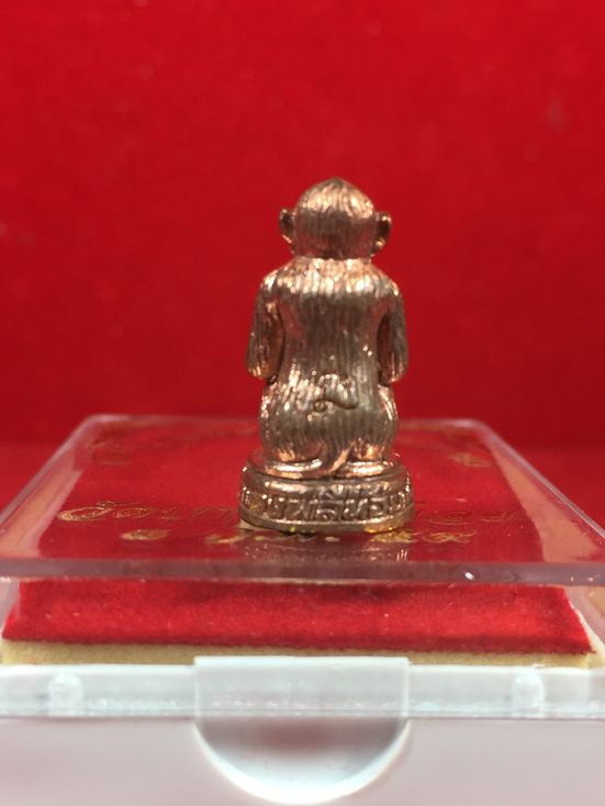 พญาวานร เนื้อทองแดง หลวงพ่ออนันต์ วัดบางพลีน้อย สมุทรปราการ