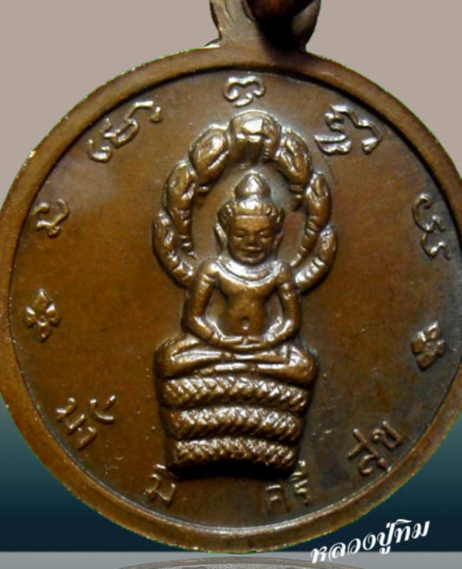 เหรียญมั่งมีศรีสุข หลวงปู่ทิม วัดละหารไร่ หลังพระนาคปรก