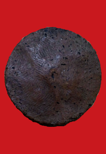 +++  หลวงพ่อยิ้ม  วัดเจ้าเจ็ด....เนื้อสวยๆ +++((( เคาะเดียว)))