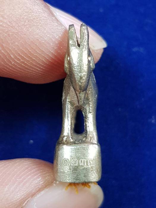 แพะรุ่นแรก หลวงพ่อสิน วัดระหารใหญ๋ เนื้ออัลปาก้า อุตผงพรายกุมาร ร าคาเคาะเดียว