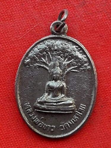 เริ่ม 10 บาท กับ เหรียญหลวงพ่อขาว จ.อยุธยา …G521