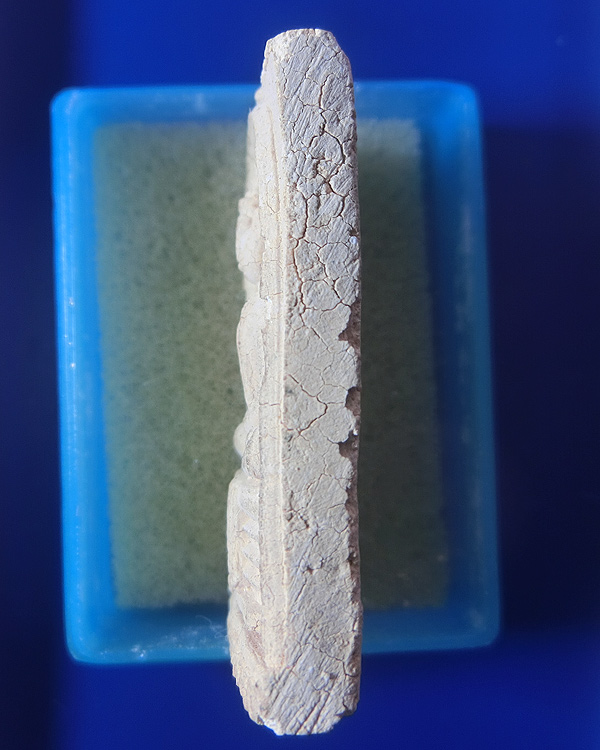 พระพุทธโสธร เนื้อผง พิมพ์ใหญ่ ปี 2509 พิมพ์หยาบ