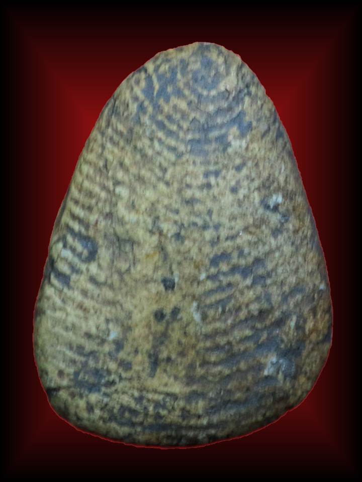 นางโรยสอ กรุสุโขทัย