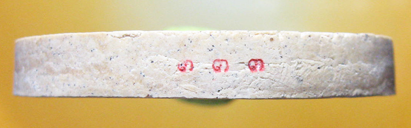 หลวงพ่อสาคร มนุญโญ วัดหนองกรับ อ.บ้านค่าย จ.ระยอง ( ศิษย์เอกหลวงปู่ทิม)