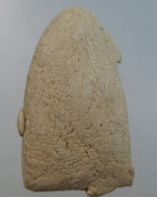 ๒๐ พระประทานพร เนื้อผง