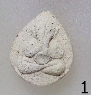 ปิดตาบัวผุดหลวงพ่อสาครนื้อขาวฝังพลอยปี30