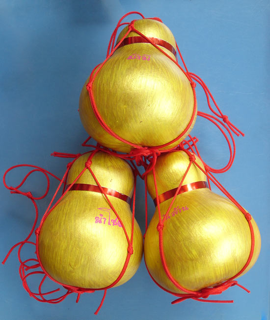 น้ำเต้าดูดทรัพย์ หลวงพ่อสาคร ปลุกเสก ปี 53 ครับ