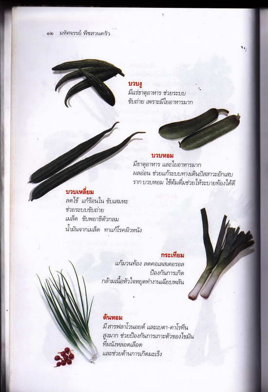 หนังสือมือสอง มหัศจรรย์ พืชสวนครัว