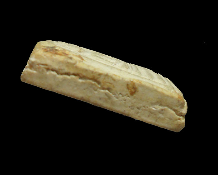 พระสมเด็จวัดระฆัง 118ปี วัดระฆังโฆสิตาราม กรุงเทพ ปี2533 พิมพ์คะแนน