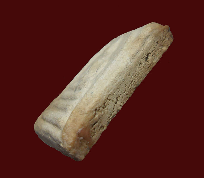 พระสมเด็จบางขุนพรหม วัดใหม่อมตรส พิมพ์เจดีย์ ปี 09 