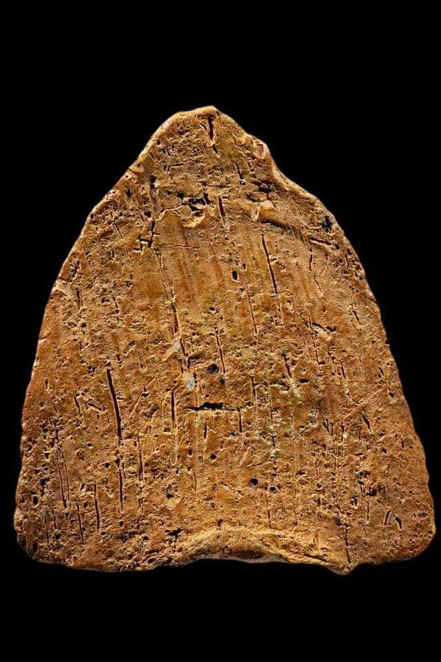 พระหลวงพ่อโตบางกระทิง..กรุเก่า..พิมพ์มารวิชัย