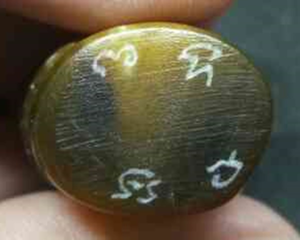 เสือ แกะจากเขาควายเผือก สูง 3.5. ซม. หลวงพ่อสิน วัดละหารใหญ่