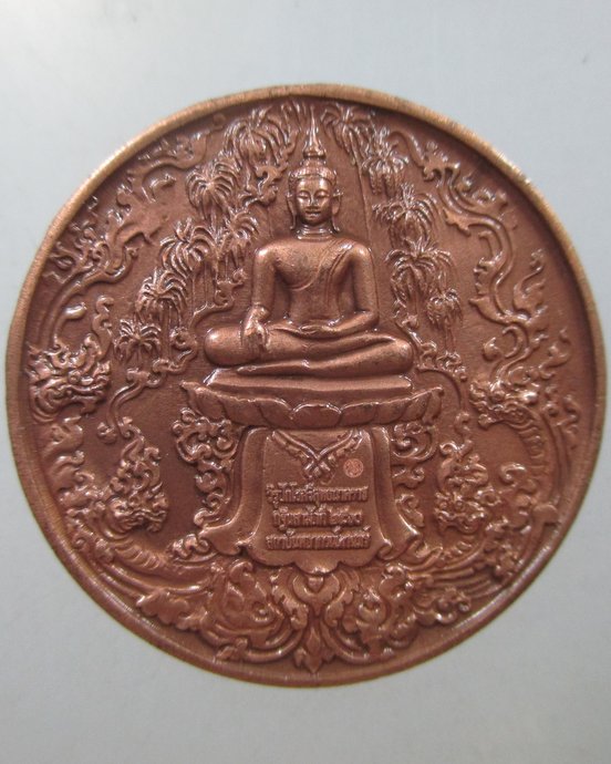 ๒๐เหรียญ “องค์วิรูปักโขศรีสุทโธนาคราช” หลังพระพุทธ ที่ระลึกกฐินสามัคคี วัดคำชะโนด ปี 2560