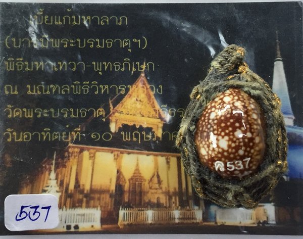 เบี้ยแก้มหาลาภ(บารมีพระบรมธาตุฯ).พิธีมหาเทวา-พุทธภิเษก ณ มณฑลพิธีวิหาร วัดพระบรมธาตุ