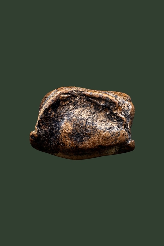 พระรอด กรุวัดมหาวัน พิมพ์ตื้น