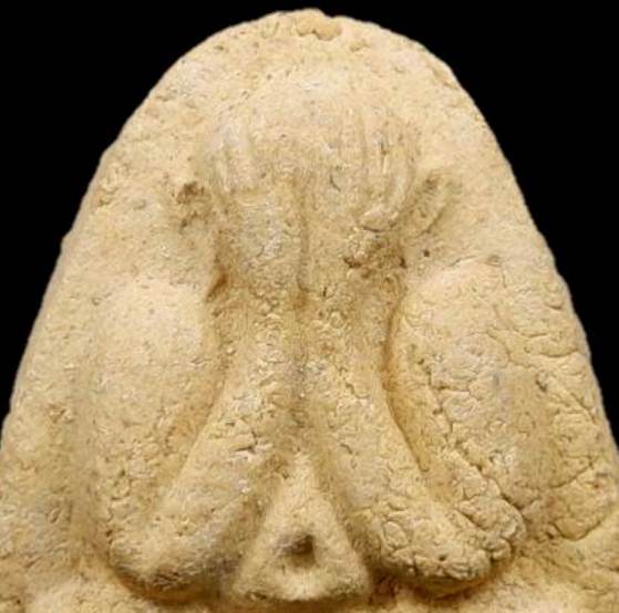 พระปิดตา ปี2516 เนื้อเหลือง วัดยายร้า จ.ระยอง หลวงปู่ทิม ปลุกเสก