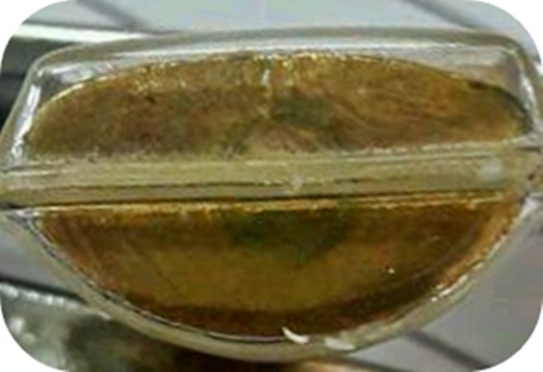 พระกริ่งอู่ทองวัดชิโนรส ปี2512 ฝังพลอย พิธีใหญ่  หลวงพ่อกวย หลวงปู่โต๊ะ ปลุกเสก