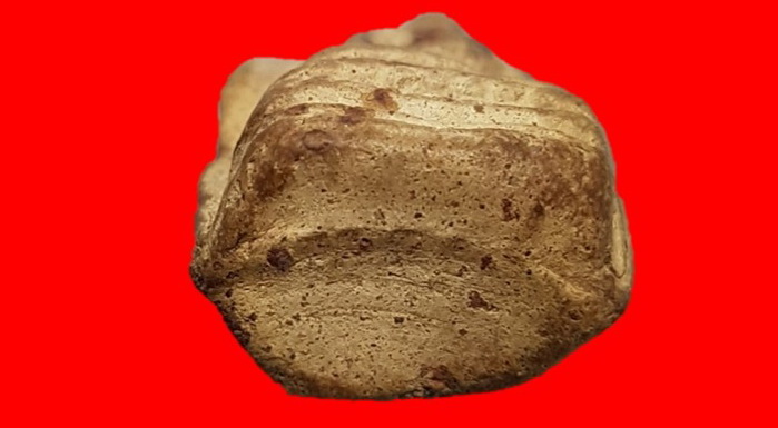 พระคงกรุเก่าเนื้อบิ่นเดิมจากกรุ พระสวยได้ฟอร์โพธิ์เด้งตามภาพ พระแท้รับประกันตลอดชีพ