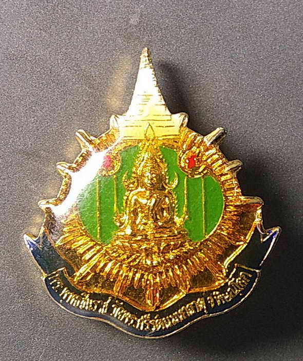เริ่มที่ 20 บาท เหรียญเข็มกลัดพระพุทธชินราชวัดพระศรีรัตนมหาธาตุจังหวัดพิษณุโลกที่ระลึกงานประจำปี   ป