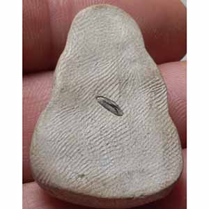 พระปิดตาเนื้อผง หลังฝังข้าวสารดำ ไม่ทราบที่ครับ