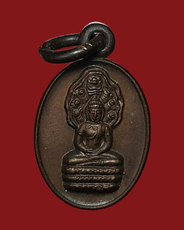 เหรียญเม็ดแตงปั๊มพิมพ์พระนาคปรก (ขนาดเล็ก) หลวงปู่ดู่ ปี ๒๕๒๙