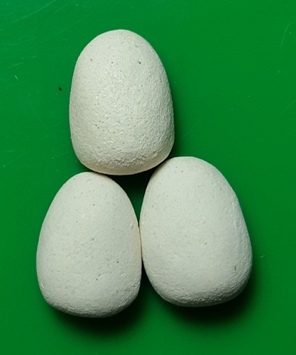 พระวัดราชสิทธาราม ( วัดพลับ ) พิมพ์ตุ๊กตา