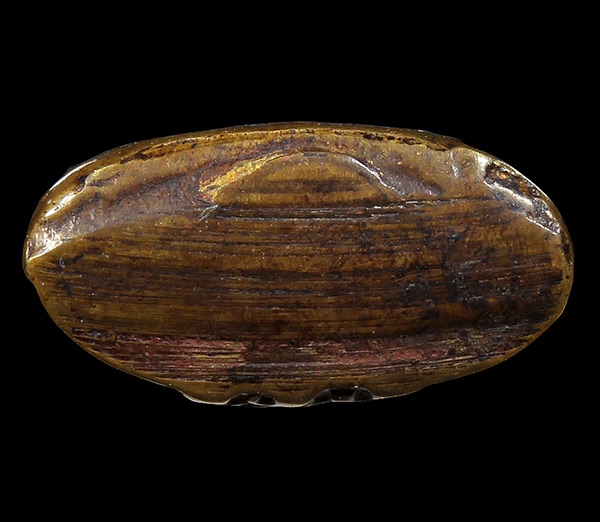 พระกริ่งหลวงพ่อโสธร ปี 06 ครับ