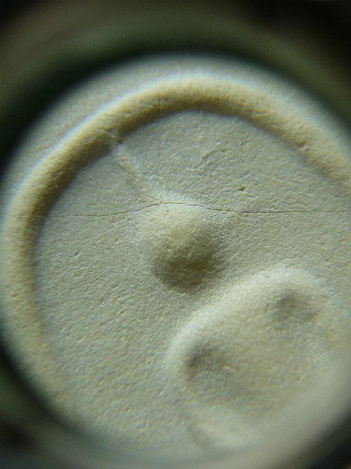 T9 พระสมเด็จบางขุนพรหม พิมพ์เส้นด้าย ปี 2539 #4