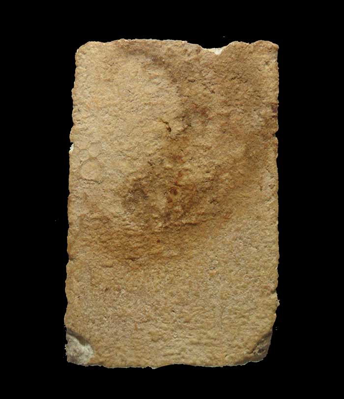 พระสมเด็จ หลวงปู่ลำภู วัดใหม่อมตรส บางขุนพรหม 