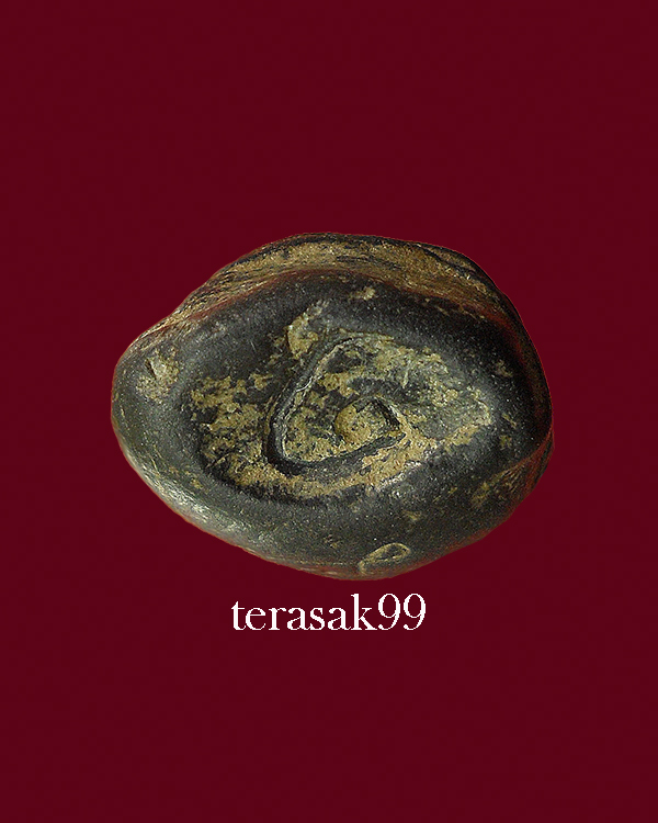 กริ่งคลองตะเคียน วัดประดู่ทรงธรรม จ.อยุธยา(4)