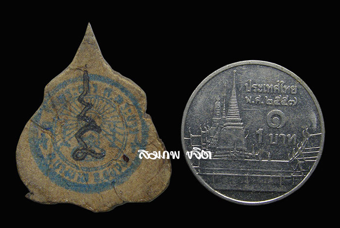 กะลาตาเดียว แกะรูปราหู ลงเเล็กเกอร์ หลวงปู่ทิม วัดพระขาว อยุธยา ปี 2547