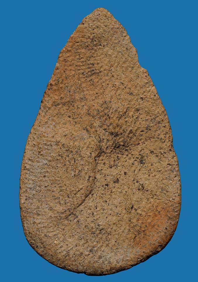 พระกลีบบัว วัดลิงขบ