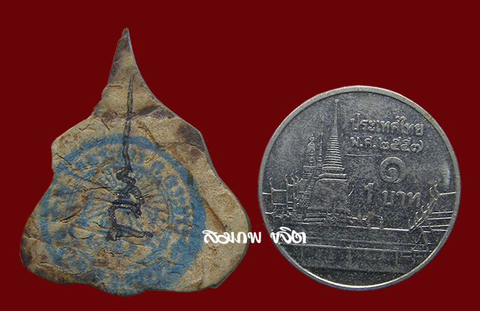 กะลาตาเดียว แกะรูปราหู ลงเเล็กเกอร์ หลวงปู่ทิม วัดพระขาว อยุธยา ปี 2547