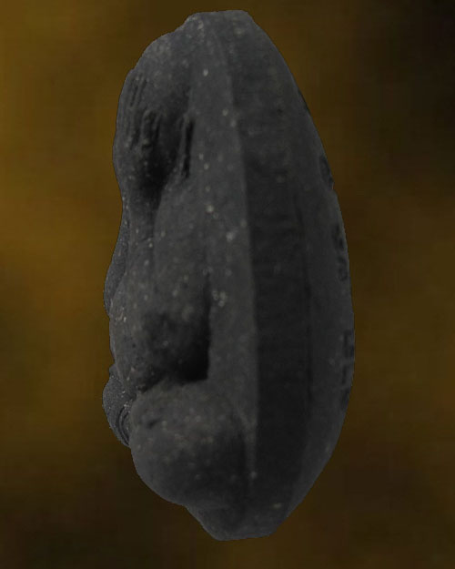 พระปิดตาจัมโบ้ หลวงปู่โต๊ะ วัดสาลาครืน กทม.ปี 2522 