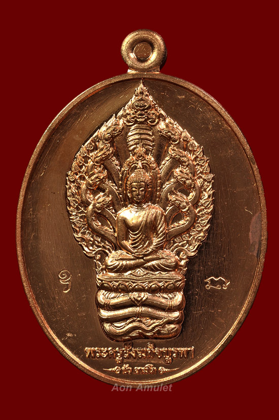 เหรียญนาคปรกเนื้อทองแดงผิวไฟ รุ่น มงคลมหาลาภ หลวงปู่บัว ถามโก วัดศรีบุรพาราม พศ.2559 หมายเลข No.4441