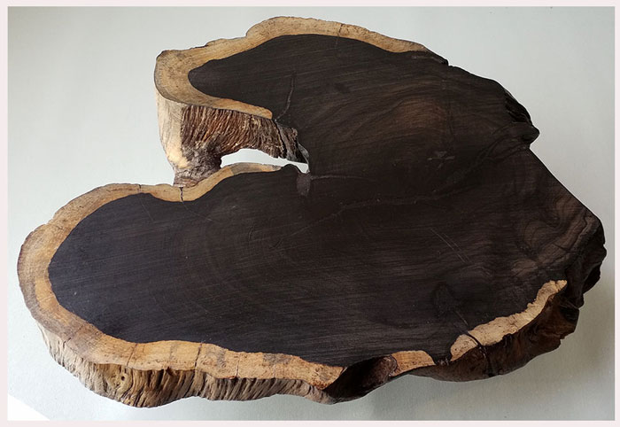 *ฐานไม้มะเกลือ(African Ebony)*