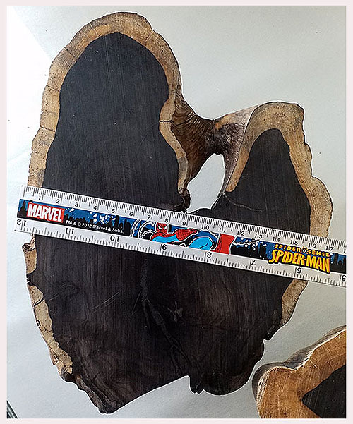 *ฐานไม้มะเกลือ(African Ebony)*