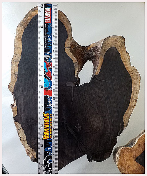 *ฐานไม้มะเกลือ(African Ebony)*