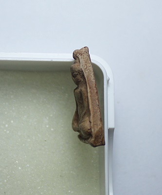 พระนางพญา กำแพงเพชร เนื้อดิน  พิมพ์ตื้น  สภาพสวยๆ  