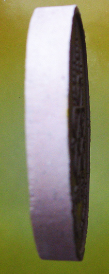 หลวงพ่อสาคร มนุญโญ วัดหนองกรับ อ.บ้านค่าย จ.ระยอง( ศิษย์เอกหลวงปู่ทิม )